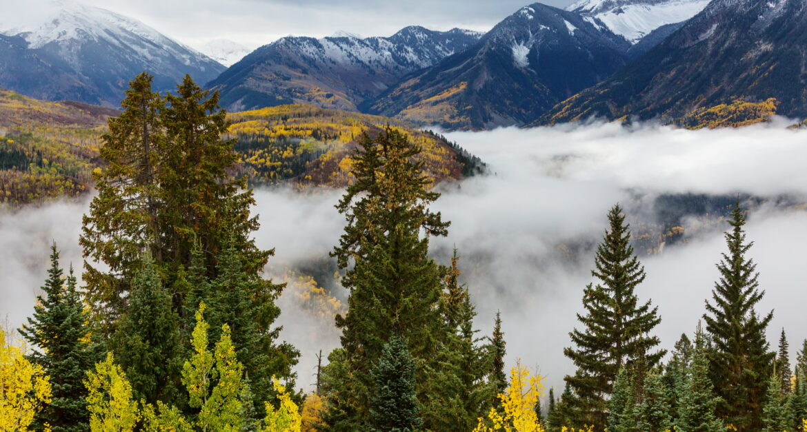 Colorado Tank Wash Services